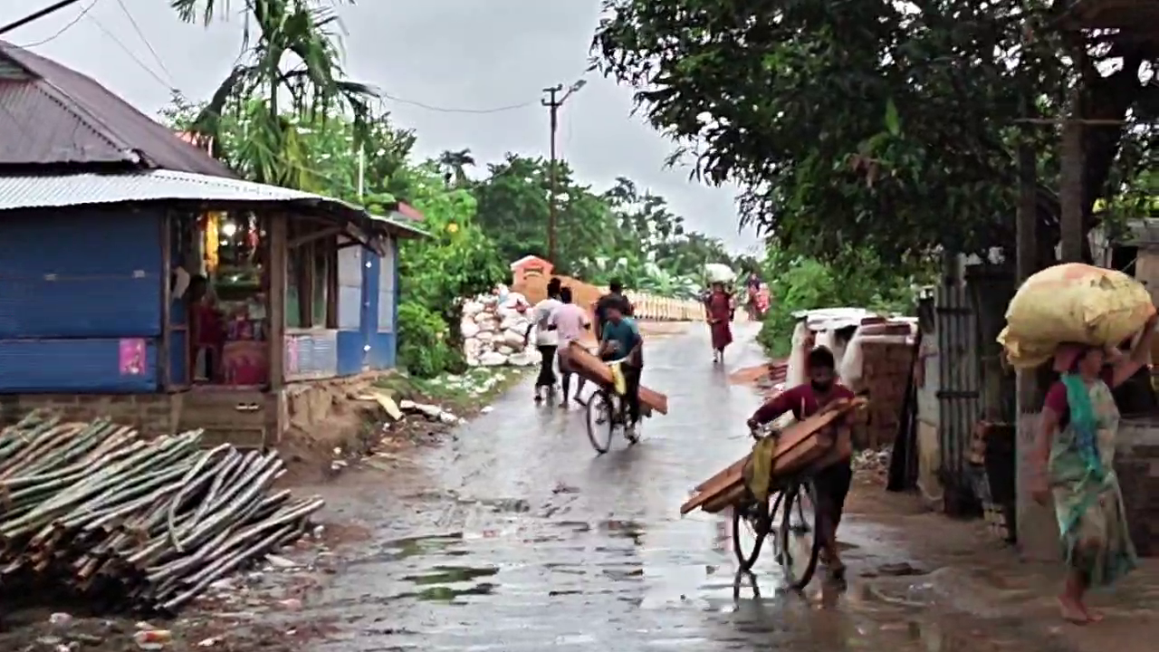 বন উজাড়, হাতির হানা—নিশ্চুপ বনদপ্তর