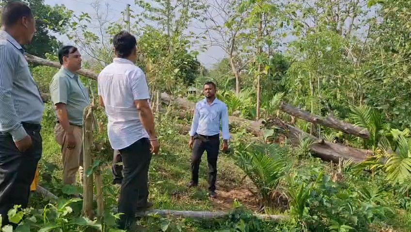 অয়েল পাম চাষের অগ্রগতি খতিয়ে দেখতে   তেলিয়ামুড়া সফর করে  রাজ্যস্তরিয় আধিকারিক ডঃ রাজীব ঘোষ