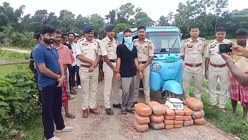 হাত কাটা এলাকা থেকে ৪০ কেজি গাঁজা উদ্ধার, গ্রেফতার ১