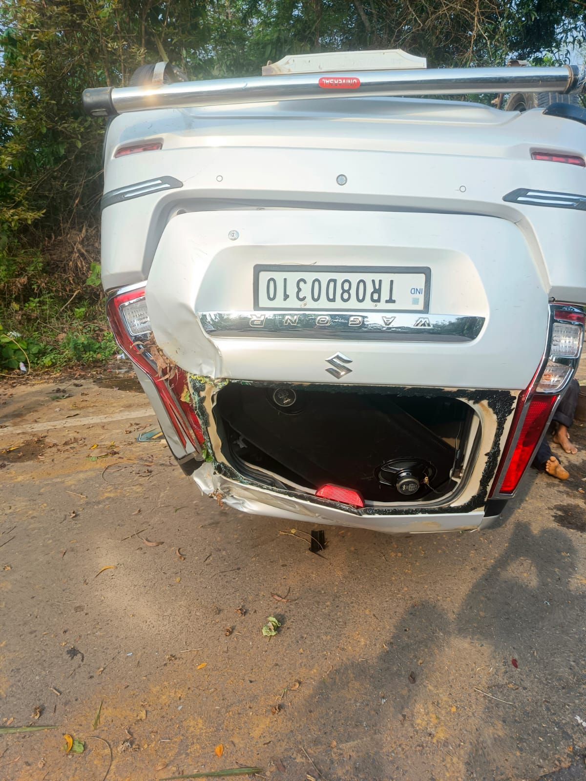 কুকুরকে বাচাতেগিয়ে গুরতর আহত তিন।