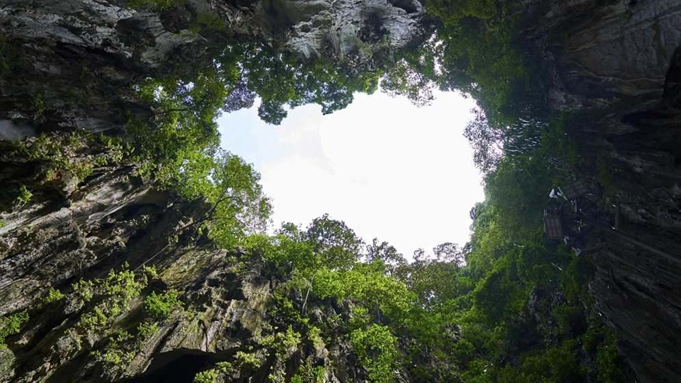 ১০ লাখ বছরের পুরানো জীবাশ্ম মিলল গুহায়