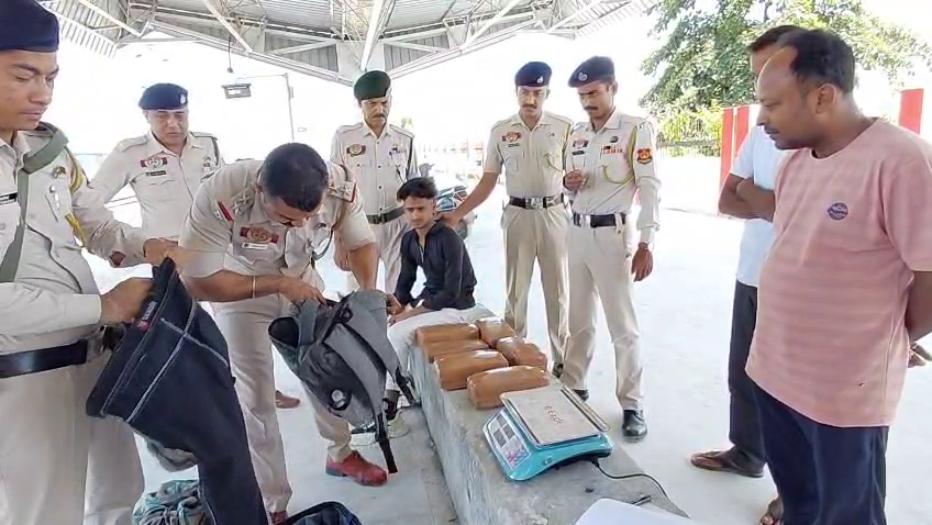 ১২ কেজি গাঁজা সহ মোহনভোগ এলাকার ১৯ বছরের এক যুবক আটক