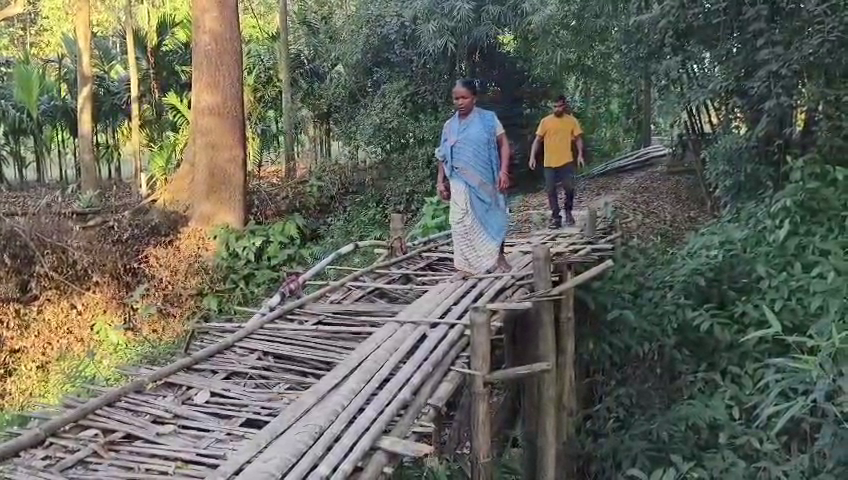 জীবনের ঝুঁকি নিয়ে সাঁকো পারাপার করতে হচ্ছে গ্রামবাসীদের