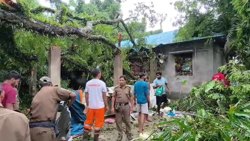 তীব্র বর্ষণের জেরে বিশাল বটগাছ ভেঙ্গে ২ পরিবারের বসতঘরের উপর! গুরুতর আহত একাধিক, তছনছ ঘরবাড়ি; ঘটনাস্থলে বিধায়িকা ও প্রশাসন!