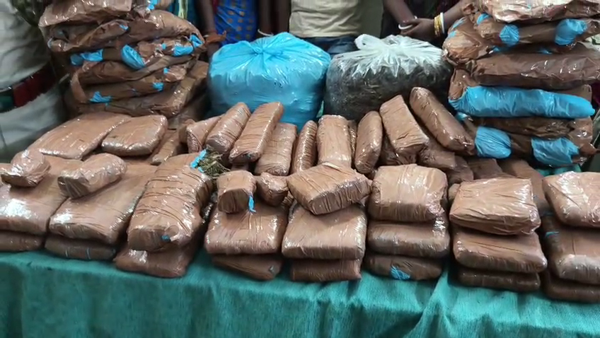 গাঁজা সহ বহি রাজ্যের পাঁচজন নাগরিক কে আটক