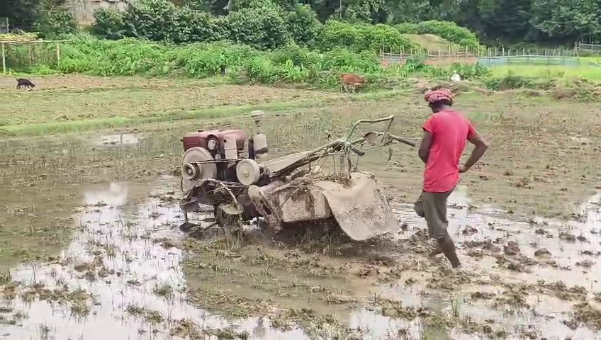  জমিতে সেচের জলের জন্য হাহাকার অবস্থা কৃষকদের
