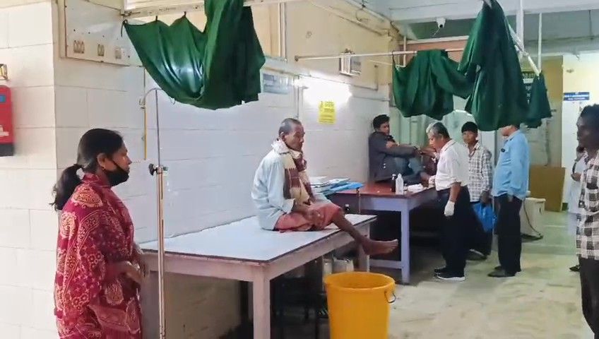 পাগল কুকুরের হিংস্র তাণ্ডব