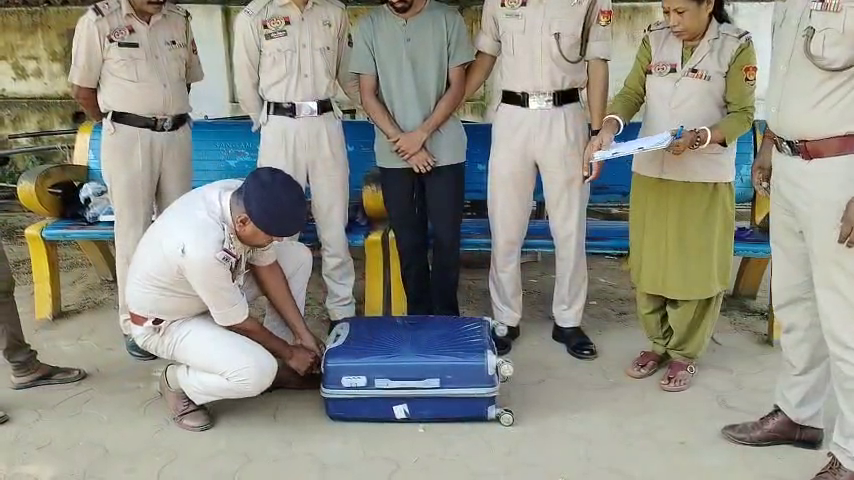 আগরতলা রেলস্টেশনে ১৭ কেজির বেশি গাঁজা উদ্ধার, গ্রেফতার অসমের যুবক
