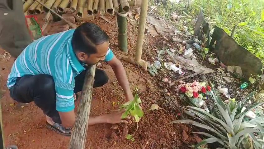 ভারতীয় মজদুর সংঘের অটোরিক্সা মজদুর  সংঘের উদ্দ্যোগে শান্তির বাজারে অনুষ্ঠীত করাহয় বৃক্ষরোপন কর্মসূচী 